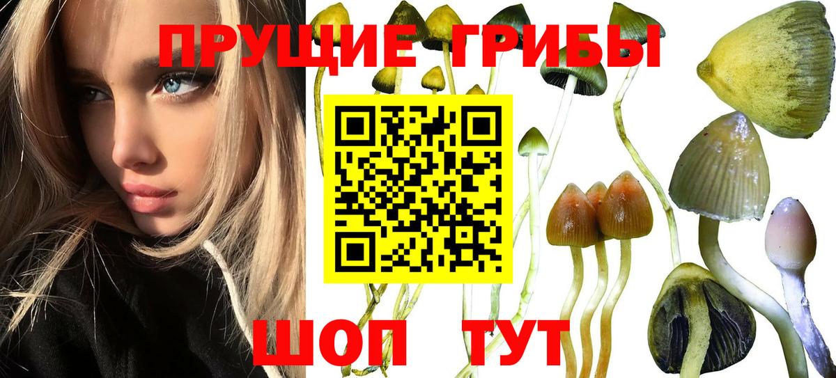 Саров  Галлюциногенные грибы мухоморы  Вход с VPN 