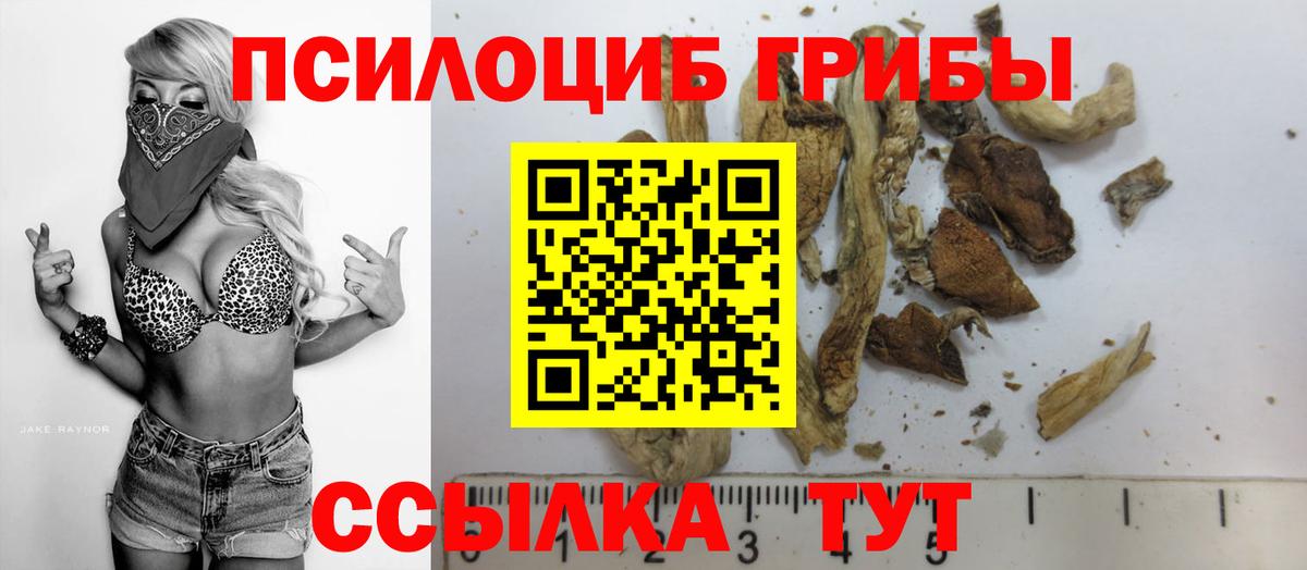 Псилоцибиновые грибы Magic Shrooms Саров