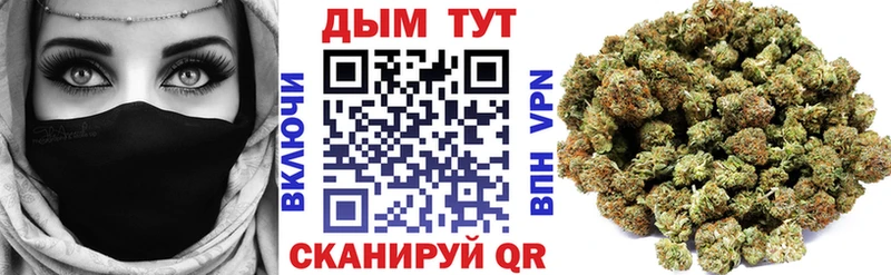 где купить наркотик  Саров  Шишки марихуана план 